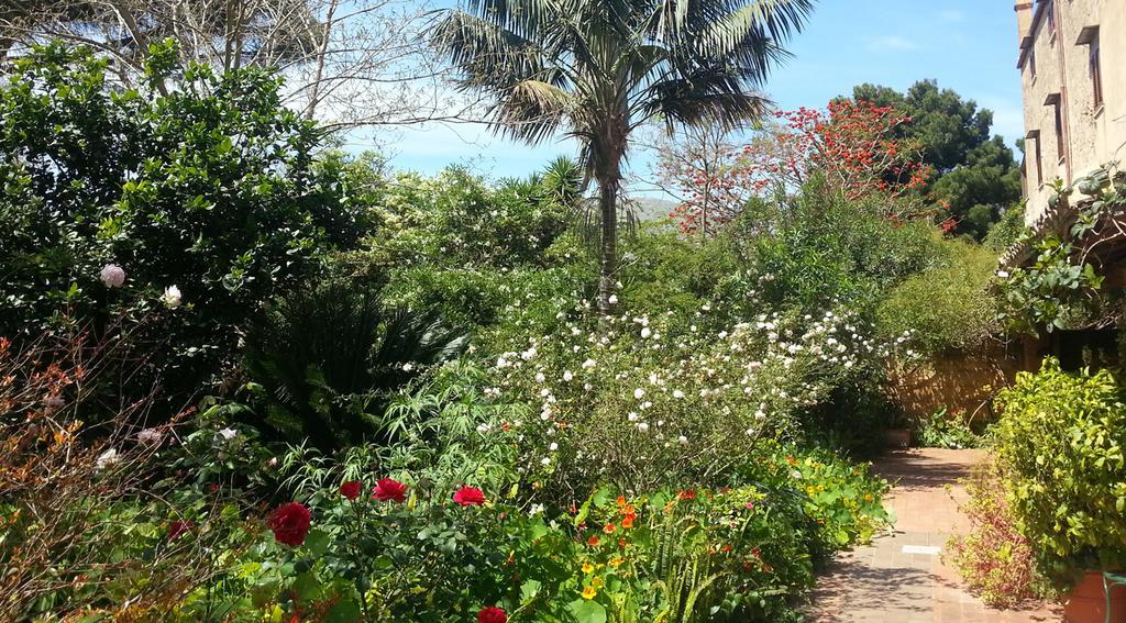 Il Glicine La Piana Dei Colli Bed & Breakfast Mondello Ngoại thất bức ảnh